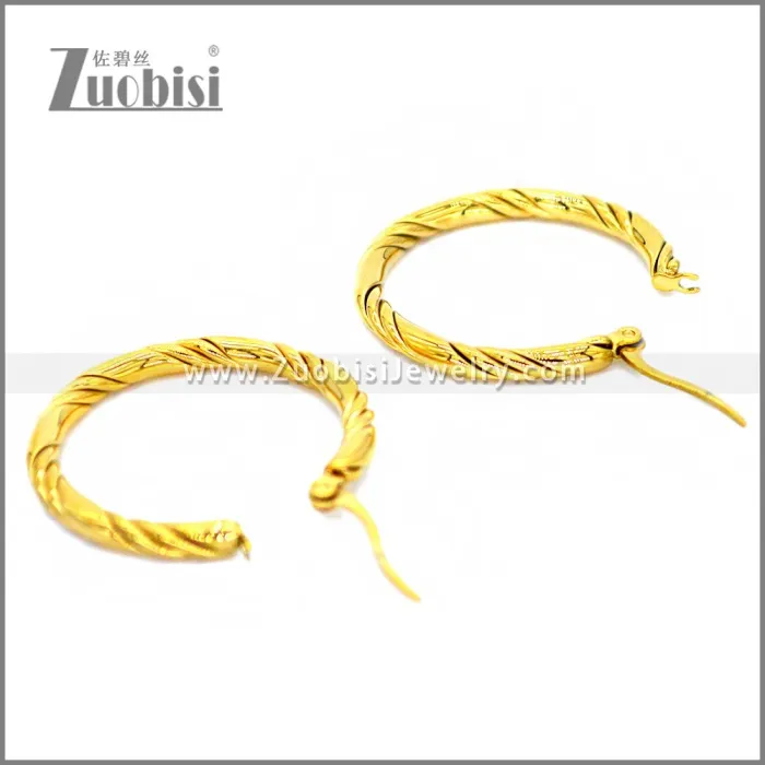 Stainless Steel Earring e002298