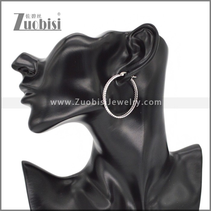 Stainless Steel Earring e002288