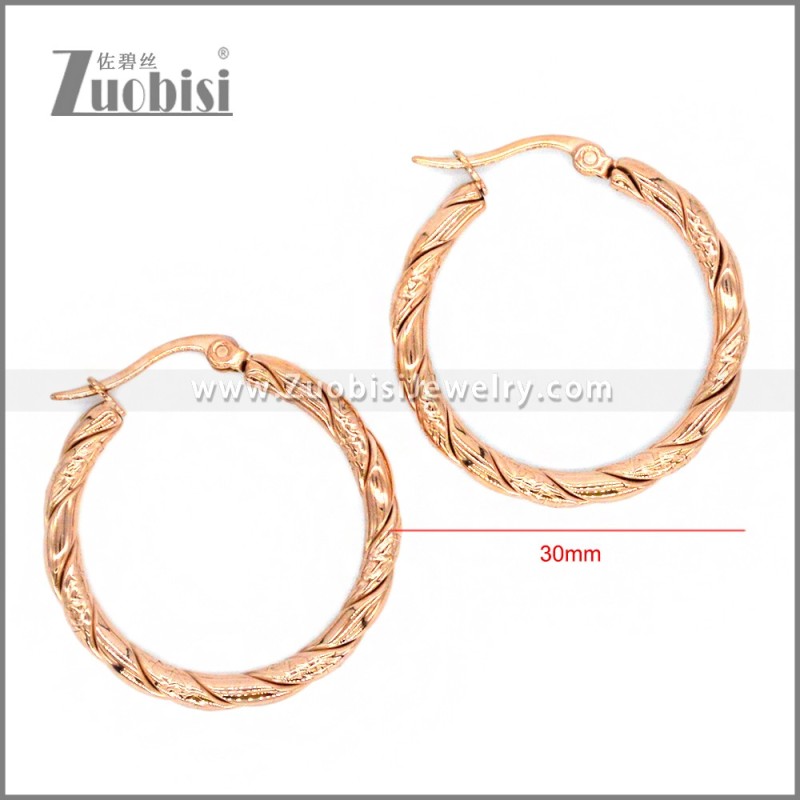 Stainless Steel Earring e002305