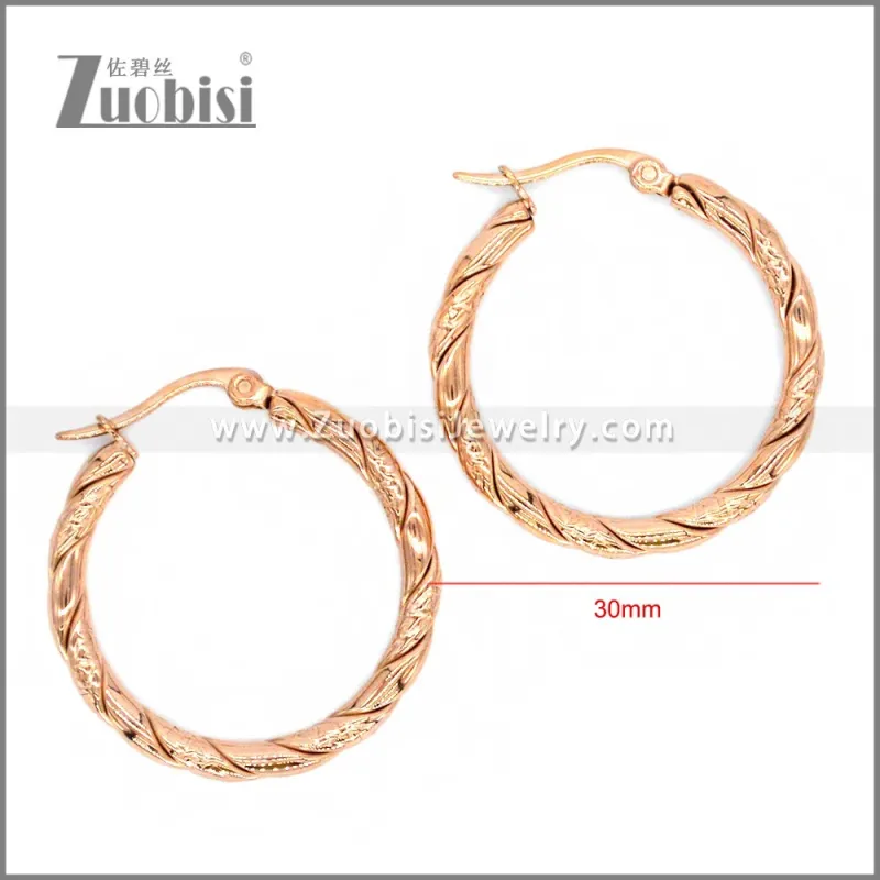 Stainless Steel Earring e002305
