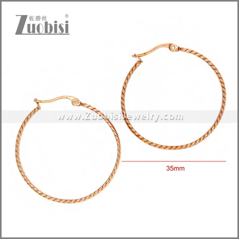 Stainless Steel Earring e002290