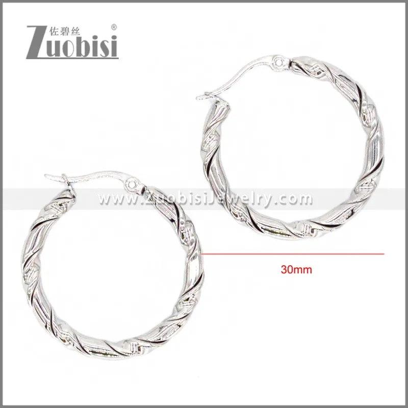 Stainless Steel Earring e002300