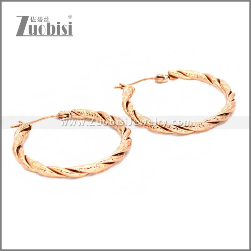 Stainless Steel Earring e002308