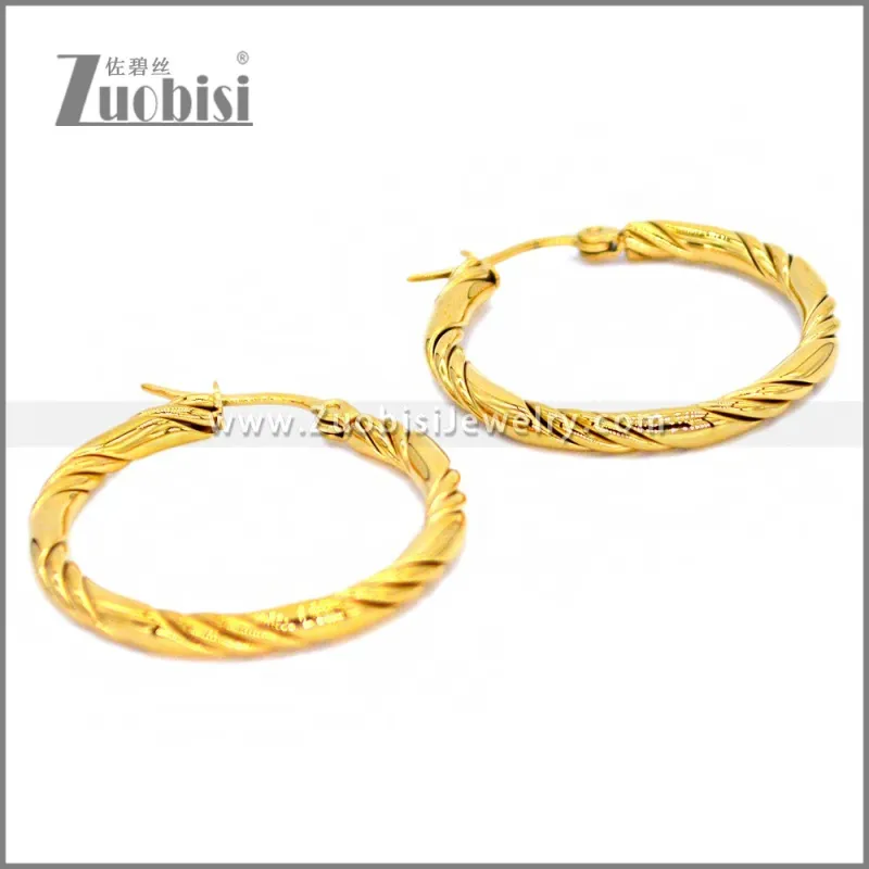 Stainless Steel Earring e002298