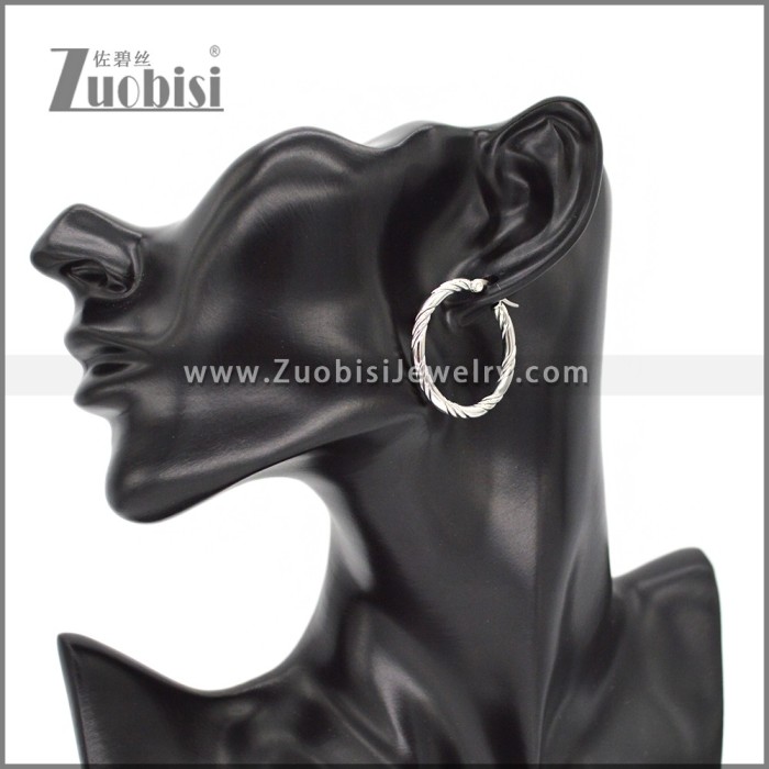 Stainless Steel Earring e002297