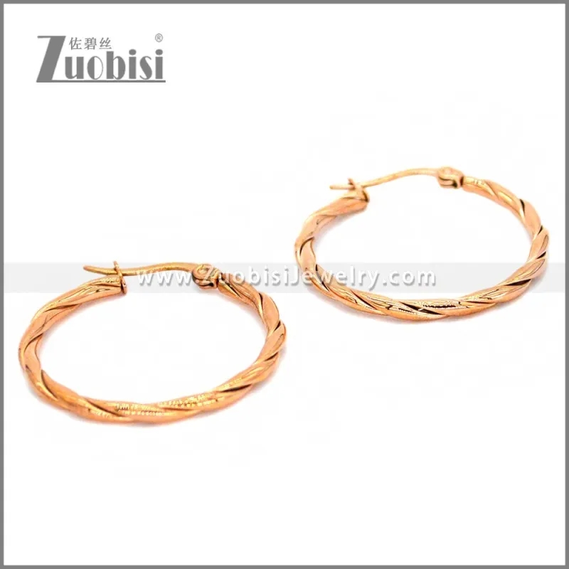 Stainless Steel Earring e002296