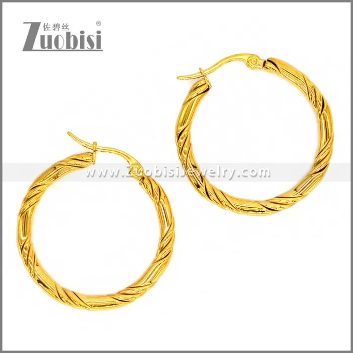 Stainless Steel Earring e002298