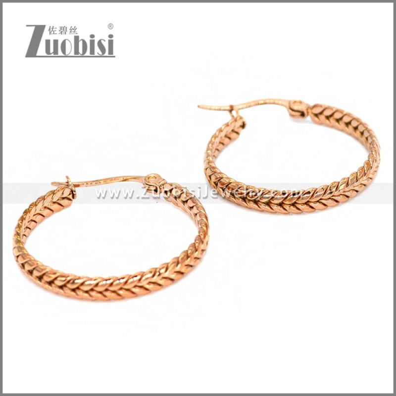 Stainless Steel Earring e002287