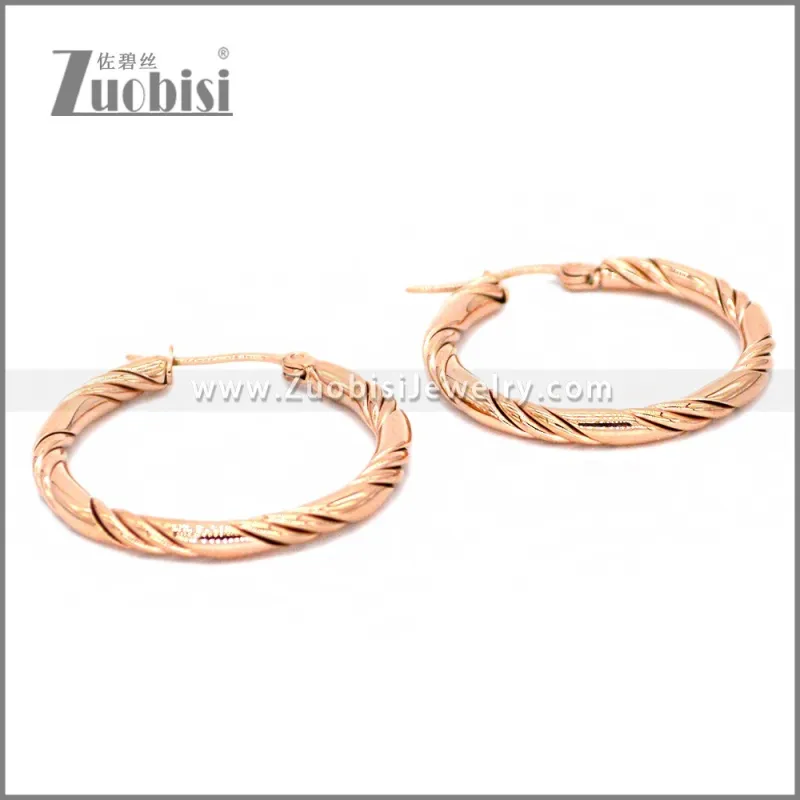 Stainless Steel Earring e002299