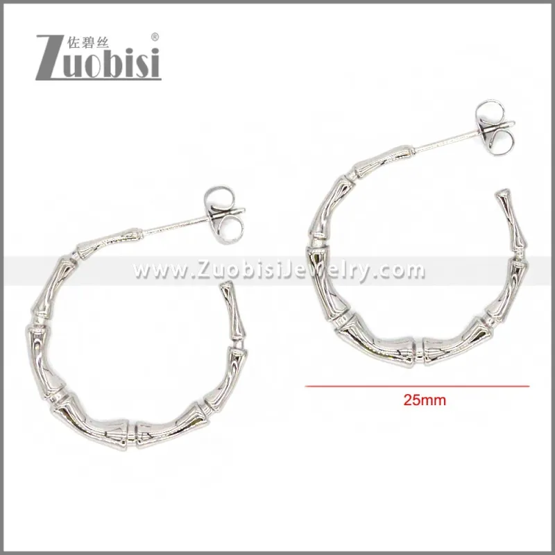 Stainless Steel Earring e002309