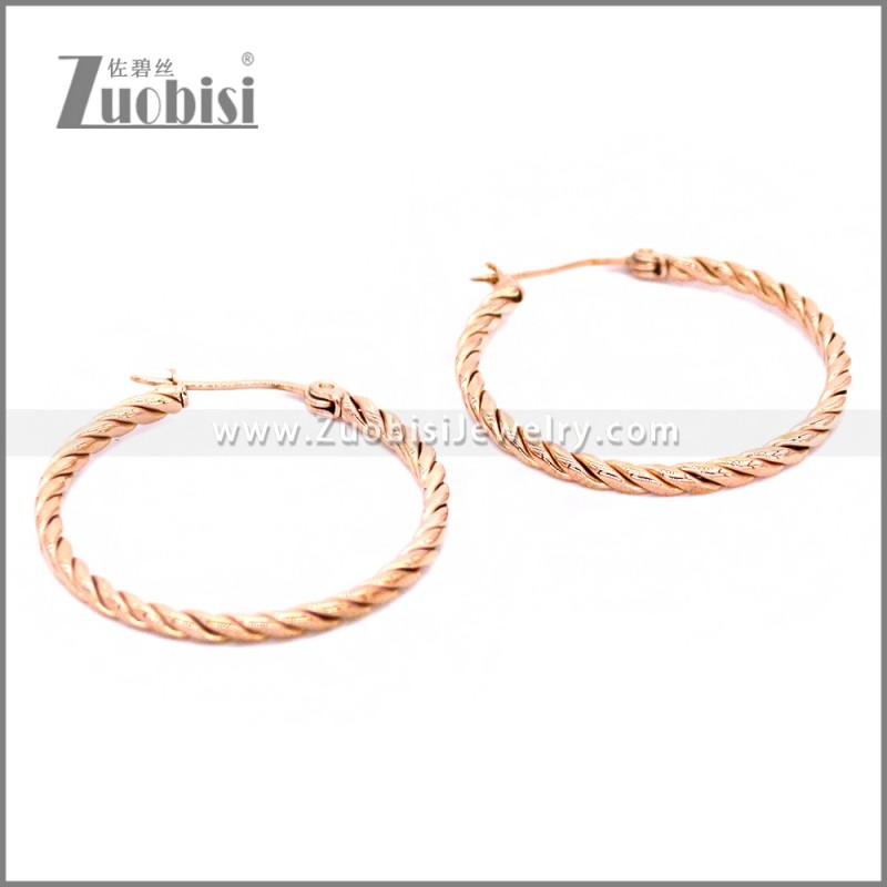 Stainless Steel Earring e002293