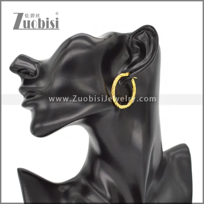 Stainless Steel Earring e002298