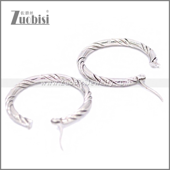 Stainless Steel Earring e002297