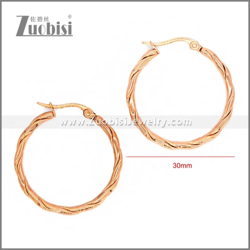 Stainless Steel Earring e002296