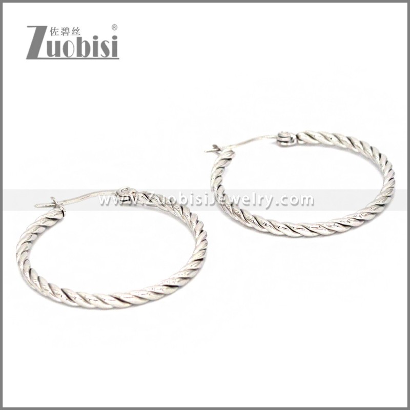 Stainless Steel Earring e002291