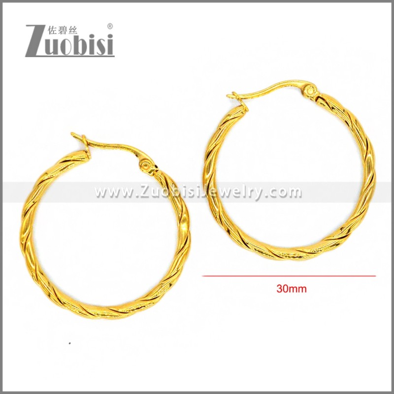 Stainless Steel Earring e002295