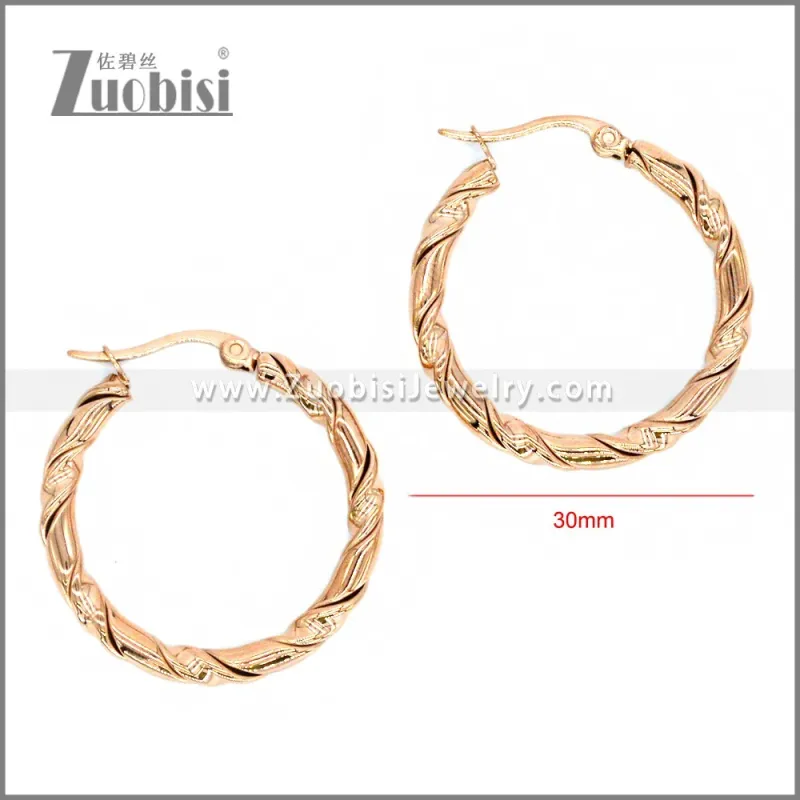 Stainless Steel Earring e002302