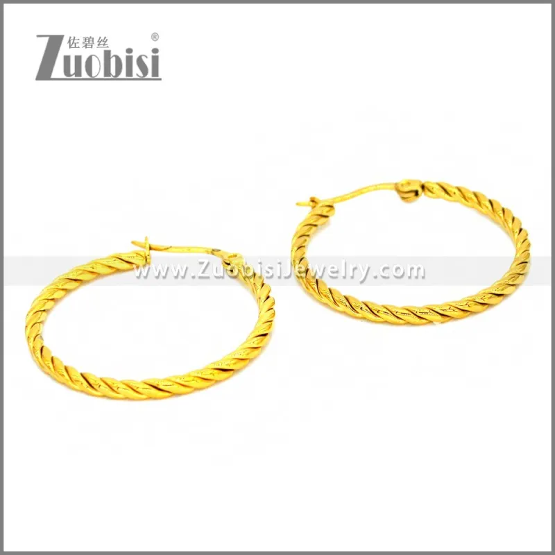 Stainless Steel Earring e002292