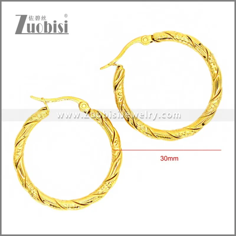 Stainless Steel Earring e002304