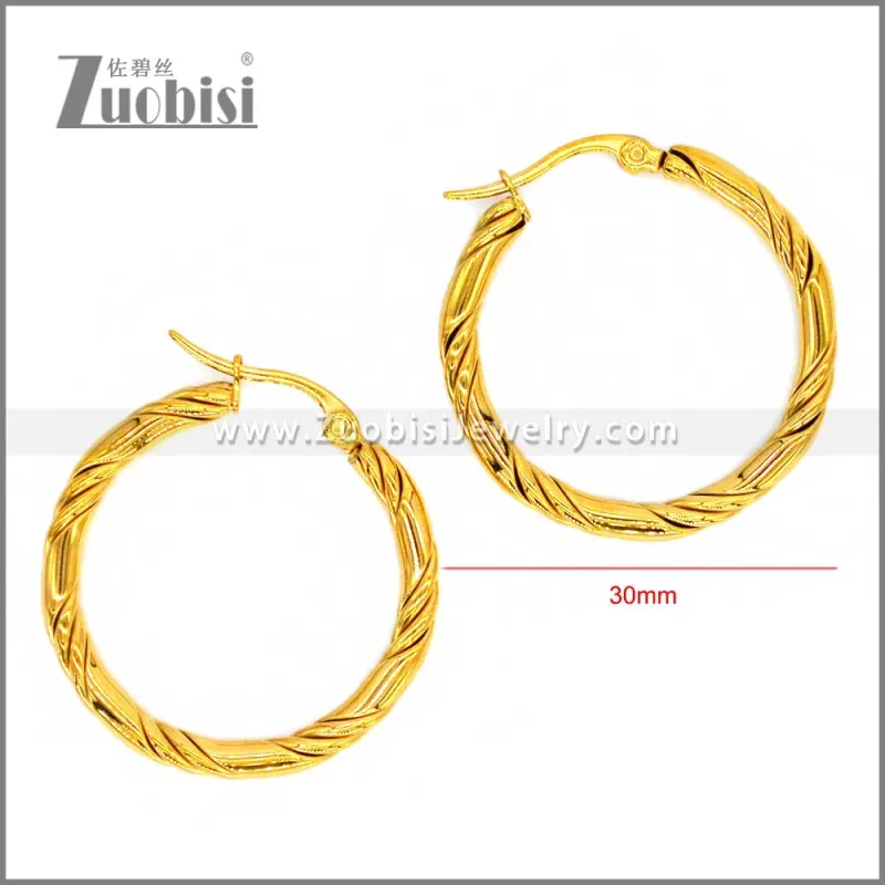 Stainless Steel Earring e002298