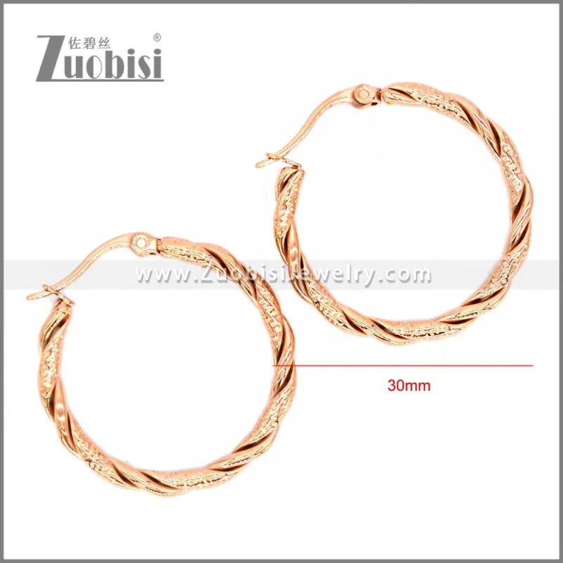 Stainless Steel Earring e002308