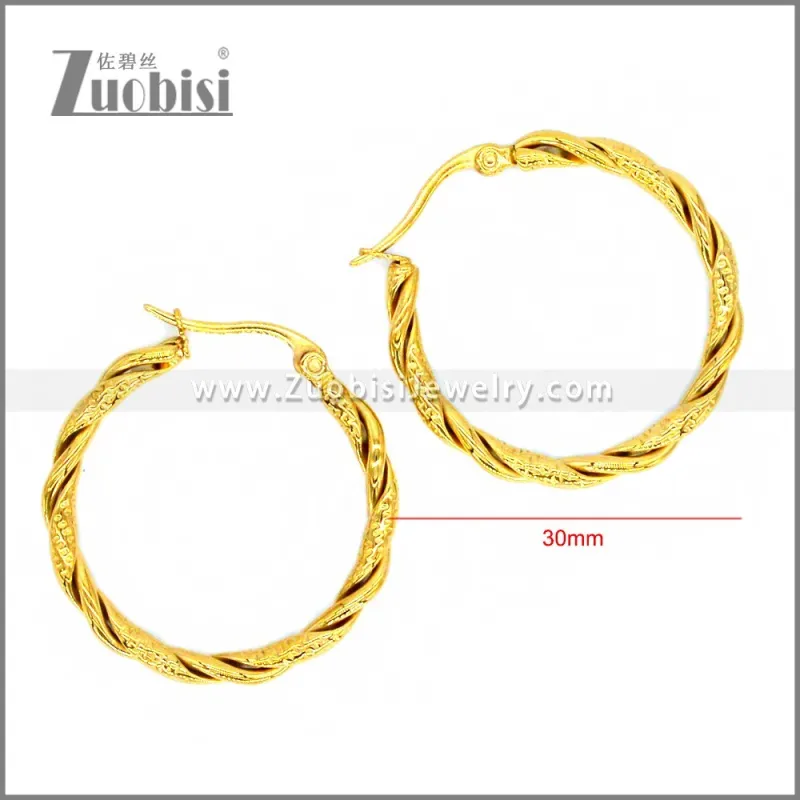 Stainless Steel Earring e002307