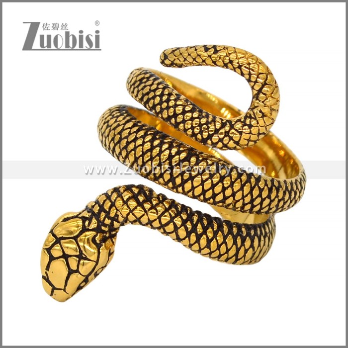 Stainless Steel Ring r009672GH