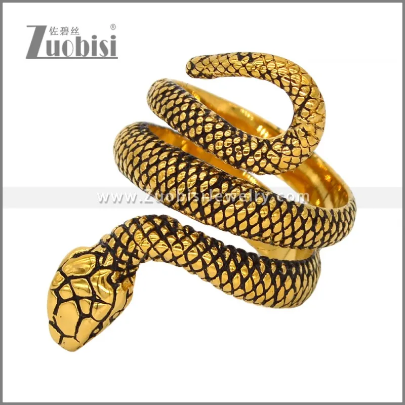 Stainless Steel Ring r009672GH