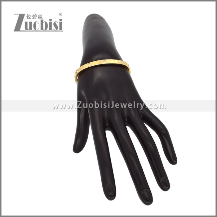 Stainless Steel Bangles b010469