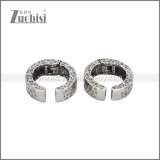 Stainless Steel Earrings e002313