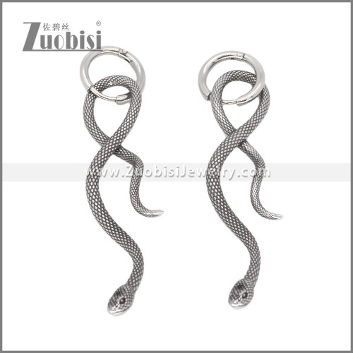 Stainless Steel Earrings e002346