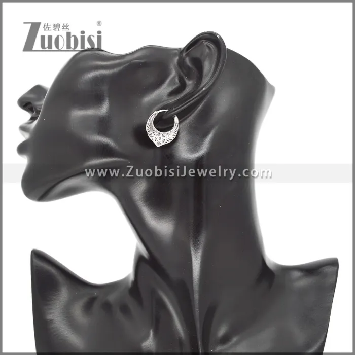 Stainless Steel Earrings e002326