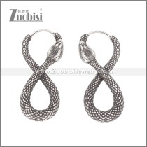 Stainless Steel Earrings e002340