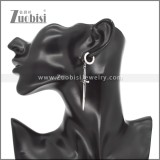 Stainless Steel Earrings e002345