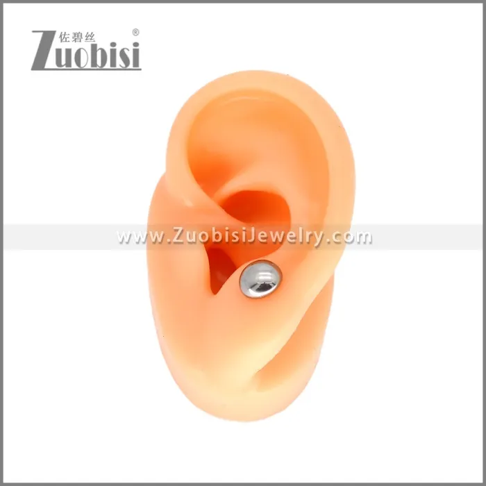 Stainless Steel Earrings e002348S1