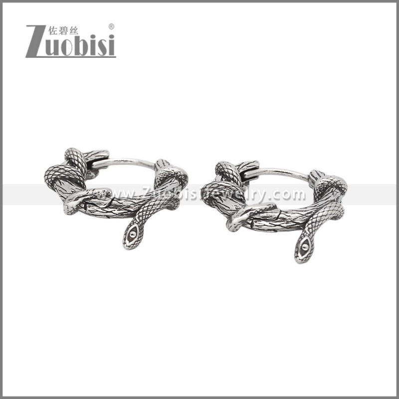 Stainless Steel Earrings e002327