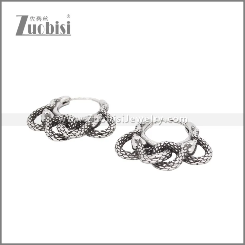 Stainless Steel Earrings e002328