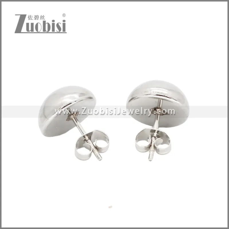 Stainless Steel Earrings e002348S3