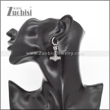 Stainless Steel Earrings e002336