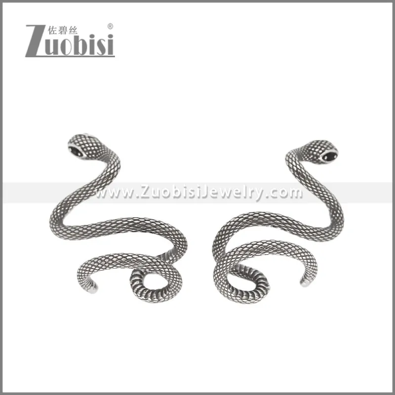 Stainless Steel Earrings e002370
