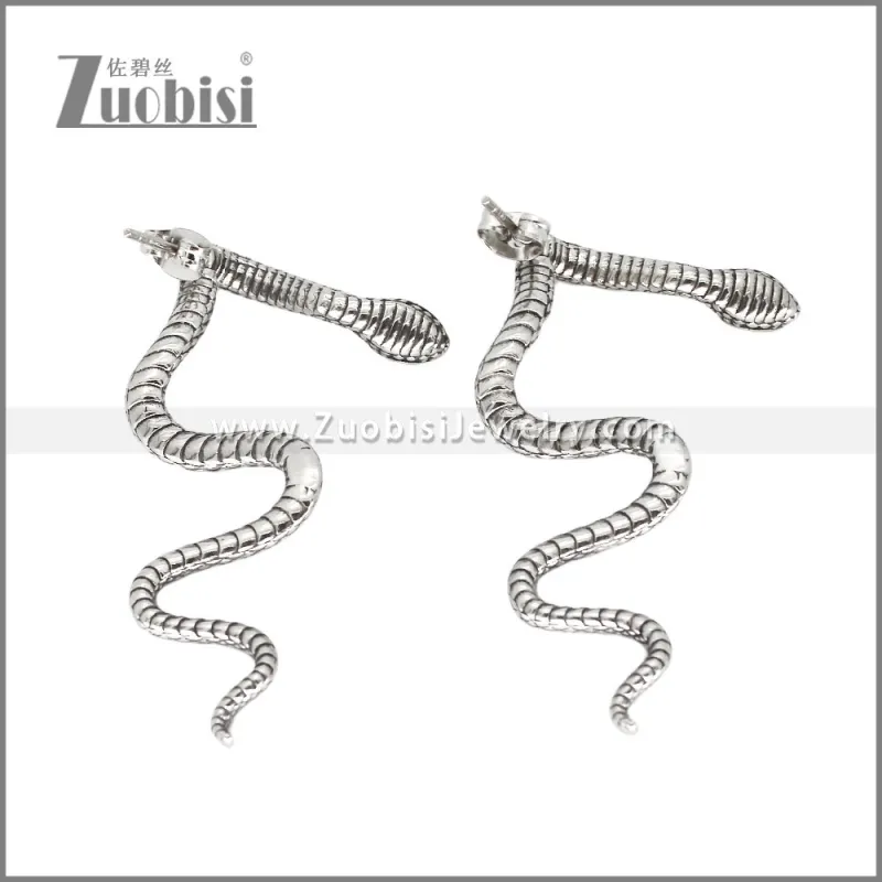 Stainless Steel Earrings e002355S1