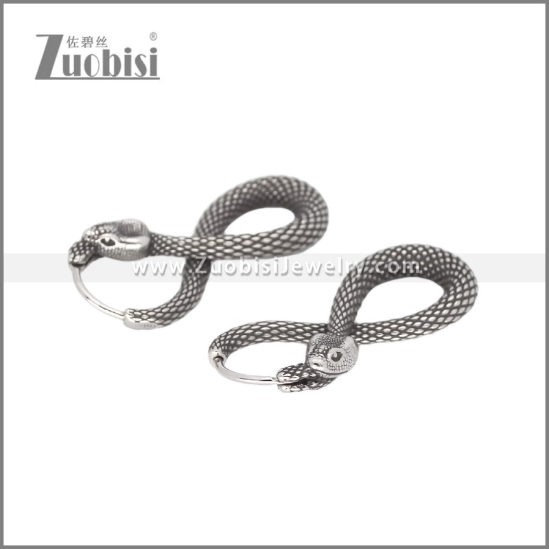 Stainless Steel Earrings e002340