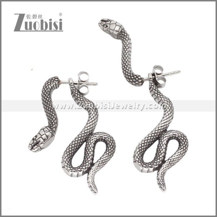 Stainless Steel Earrings e002353