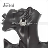 Stainless Steel Earrings e002339