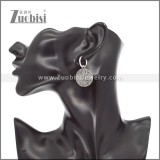 Stainless Steel Earrings e002338