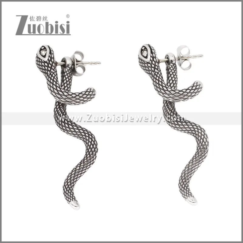 Stainless Steel Earrings e002354