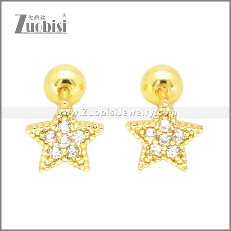 Stainless Steel Earrings e002377G
