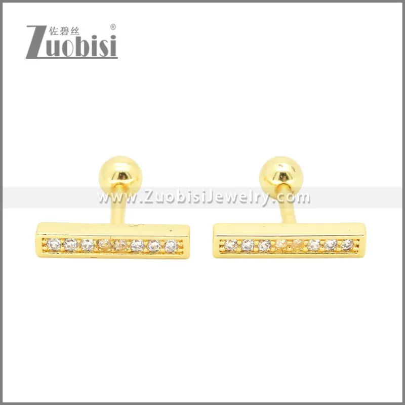 Stainless Steel Earrings e002401G