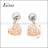 Stainless Steel Earrings e002394A