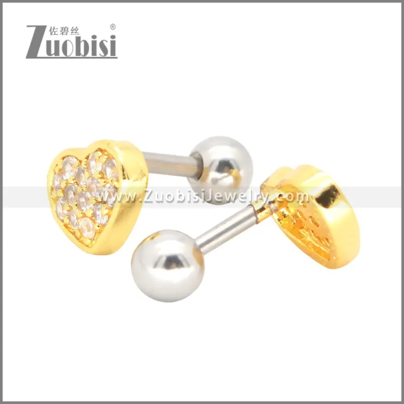 Stainless Steel Earrings e002398G